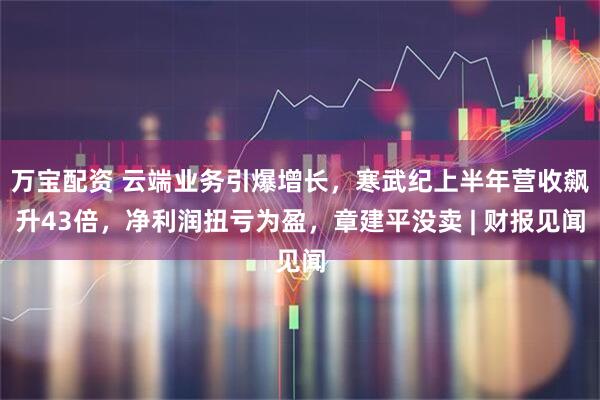 万宝配资 云端业务引爆增长，寒武纪上半年营收飙升43倍，净利润扭亏为盈，章建平没卖 | 财报见闻