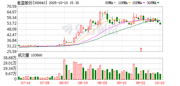广盛配资 胜蓝股份2024年归母净利润增34.3%至1.03亿元
